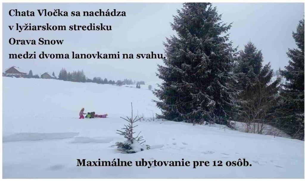 Vlocka - Orava Snow V Lyziarskom Stredisku *