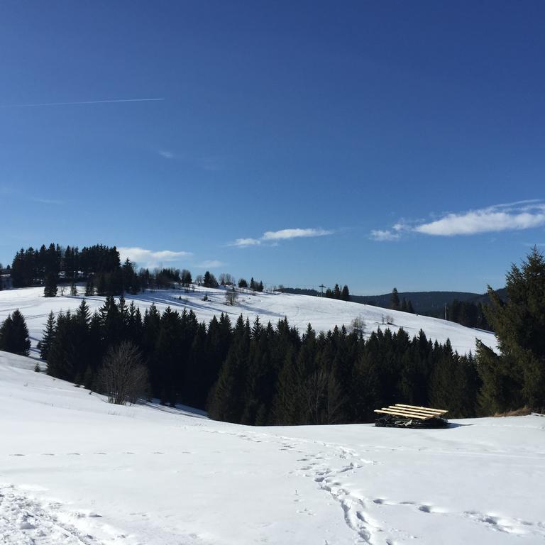 Vlocka - Orava Snow V Lyziarskom Stredisku Domek alpejski