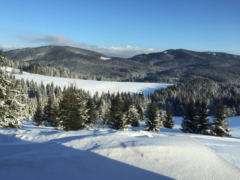 Vlocka - Orava Snow V Lyziarskom Stredisku Domek alpejski *