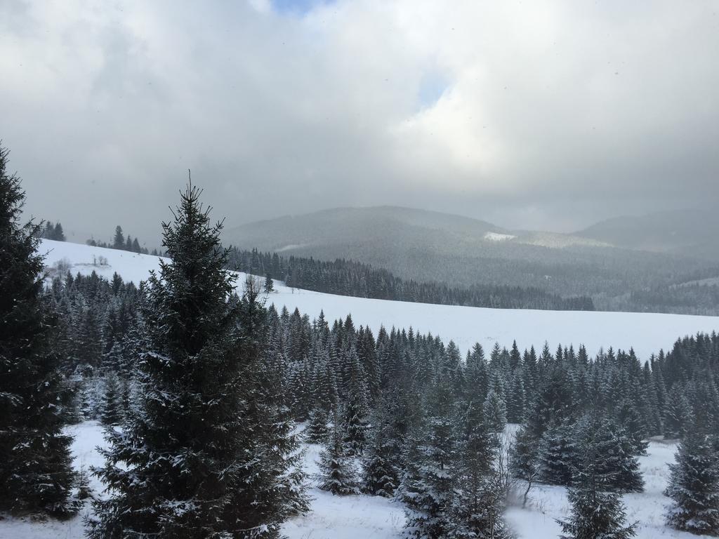 Vlocka - Orava Snow V Lyziarskom Stredisku *
